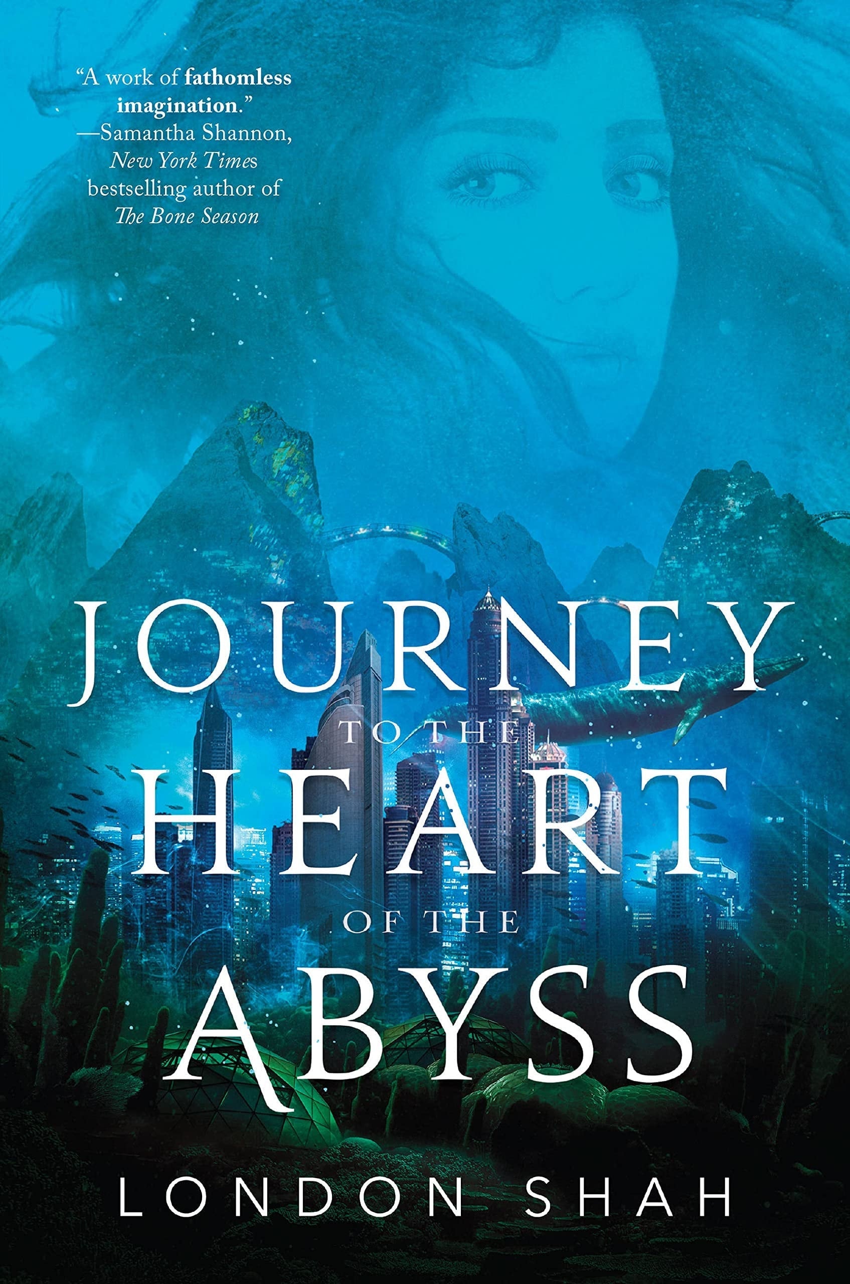 Journey to the Heart of the Abyss