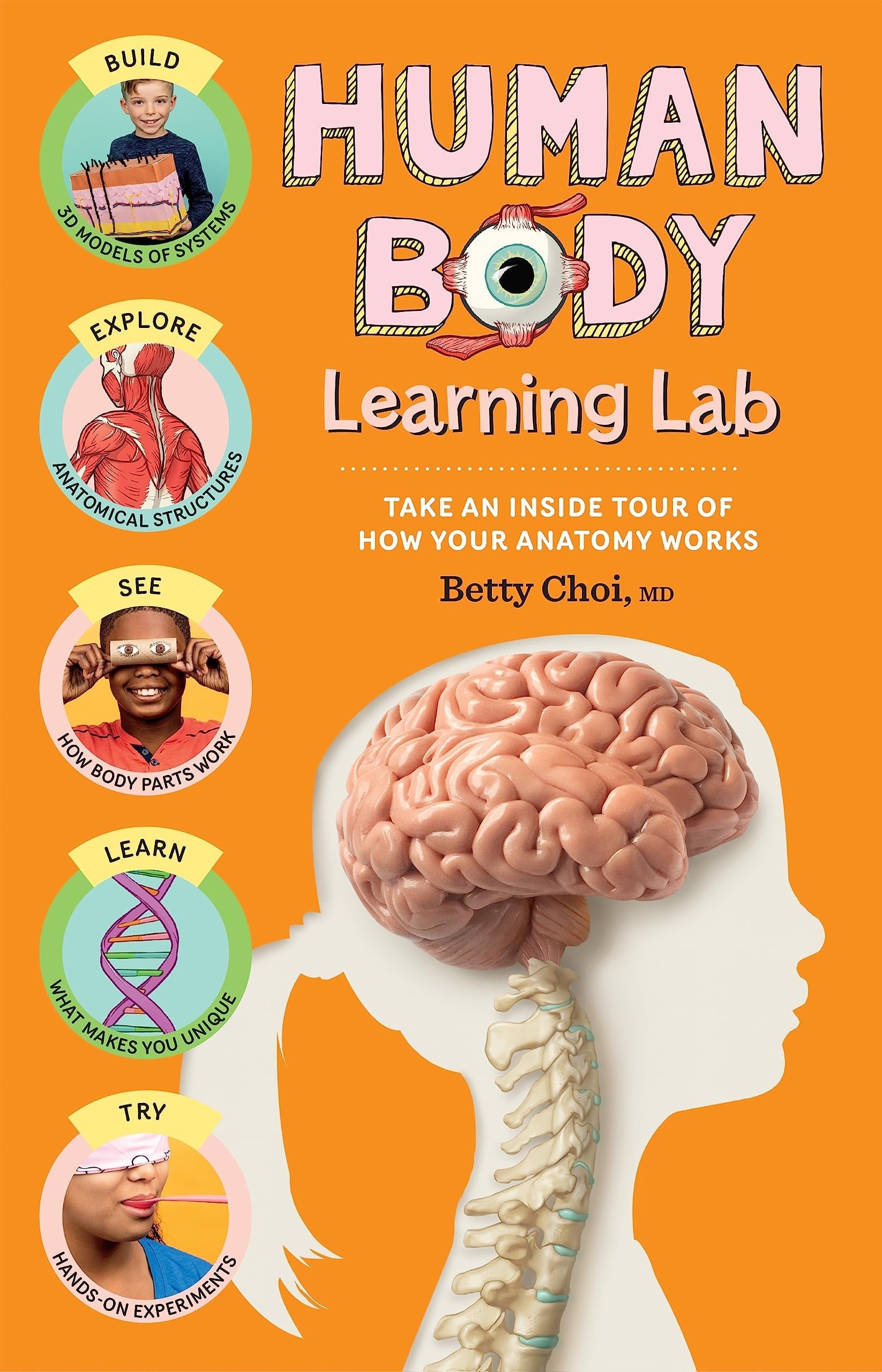 Human Body Learning Lab Take an Inside Tour of How Your Anatomy Works