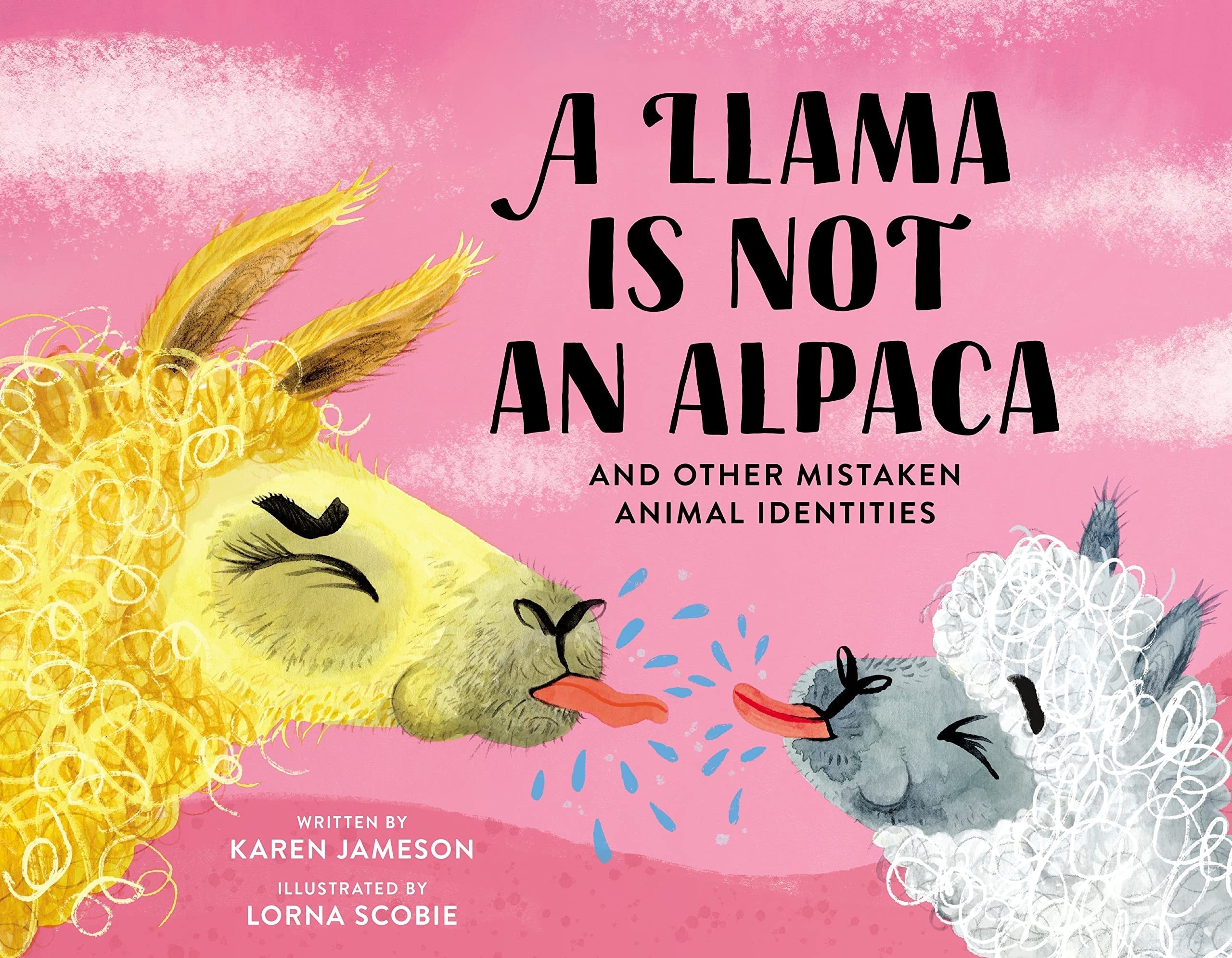 A Llama Is Not an Alpaca And Other Mistaken Animal Identities