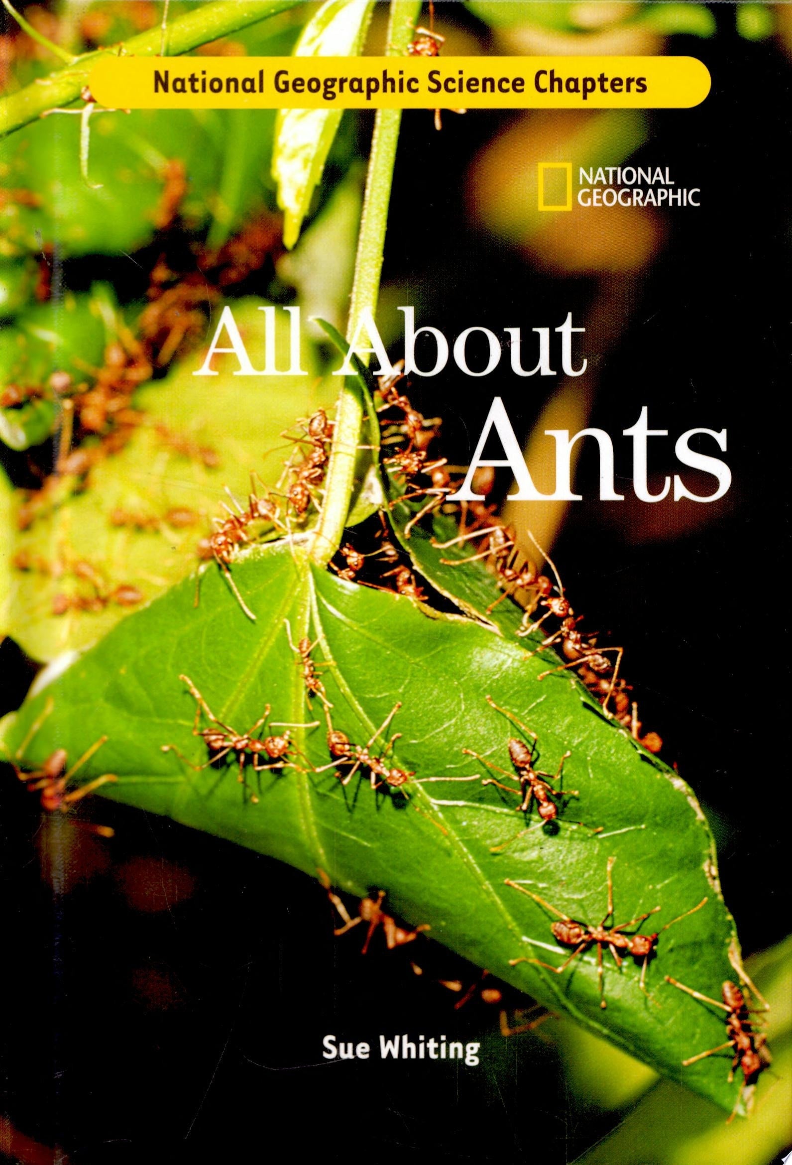 All about Ants