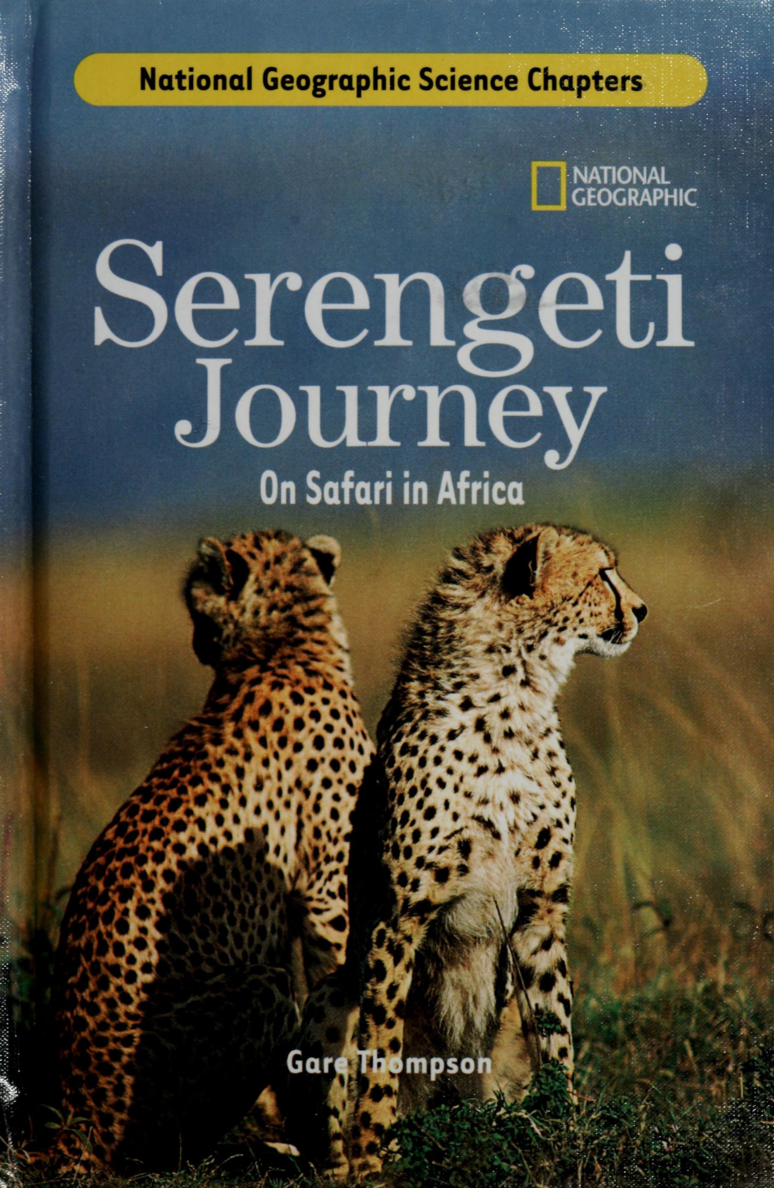 Serengeti Journey On Safari in Africa