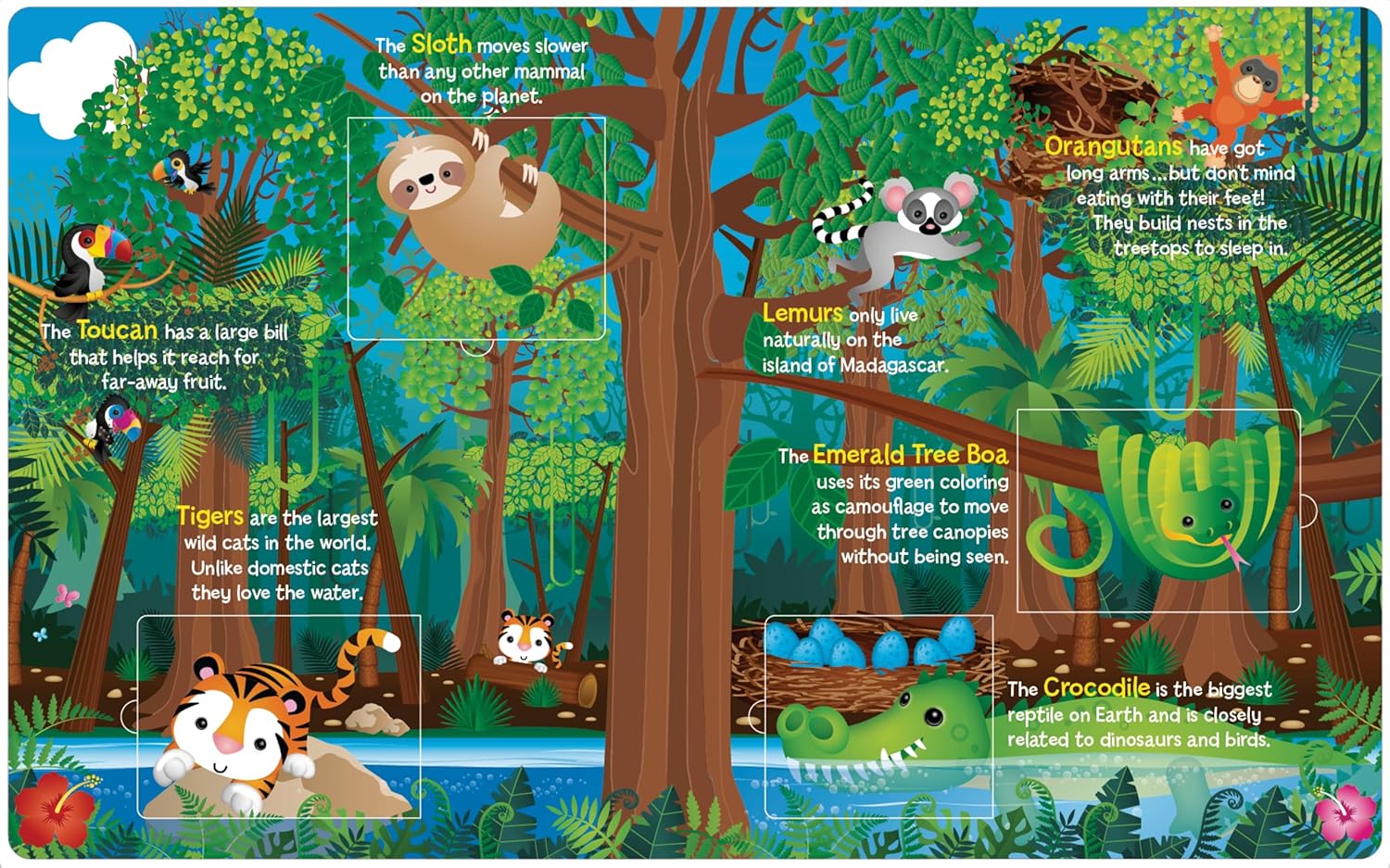 LIFT-THE FLAP ALL ABOUT ANIMALS