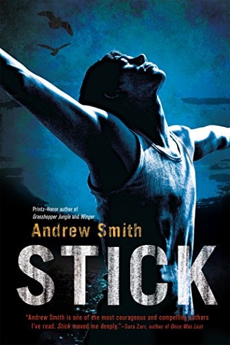 Stick A Novel