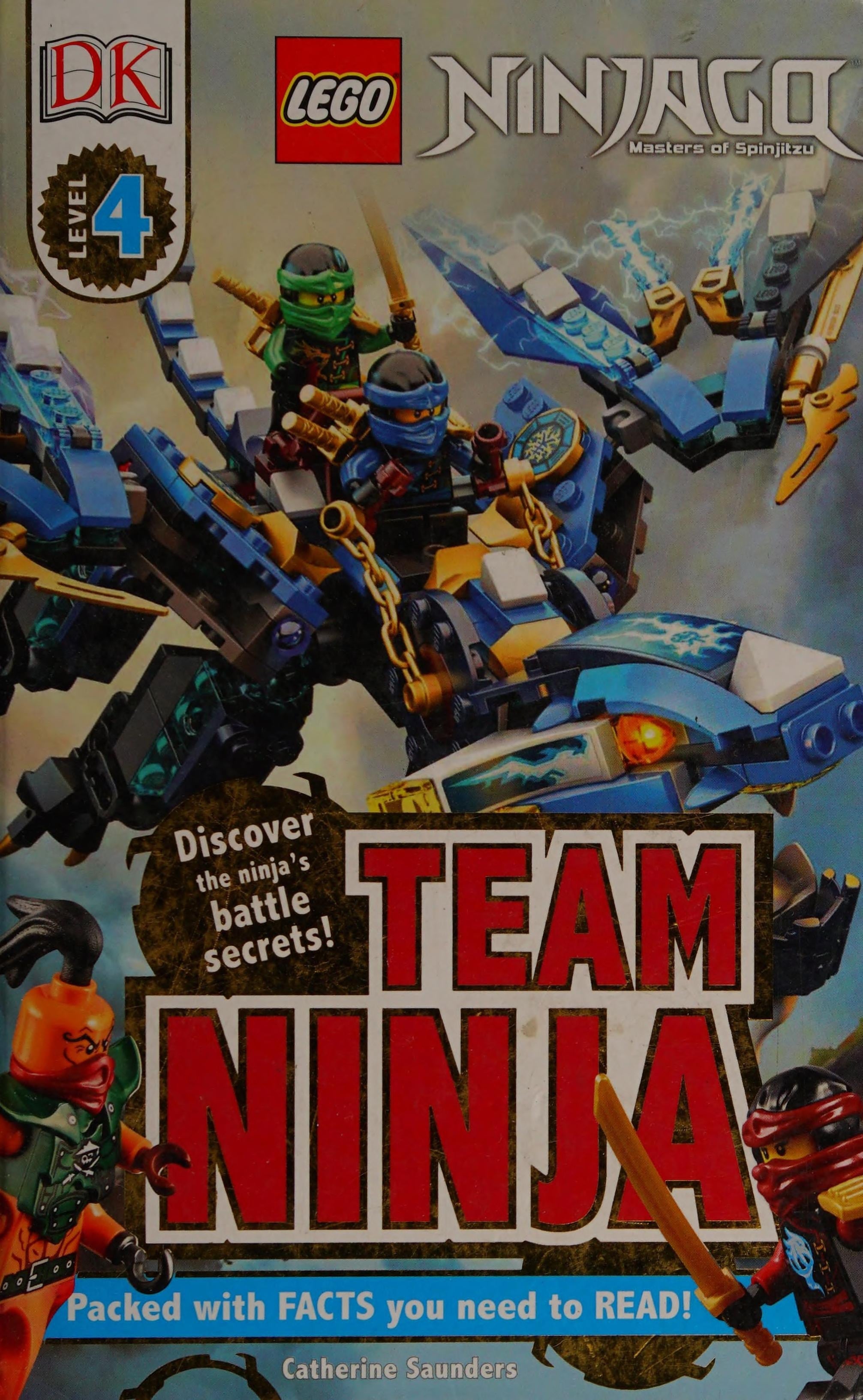 Team Ninja