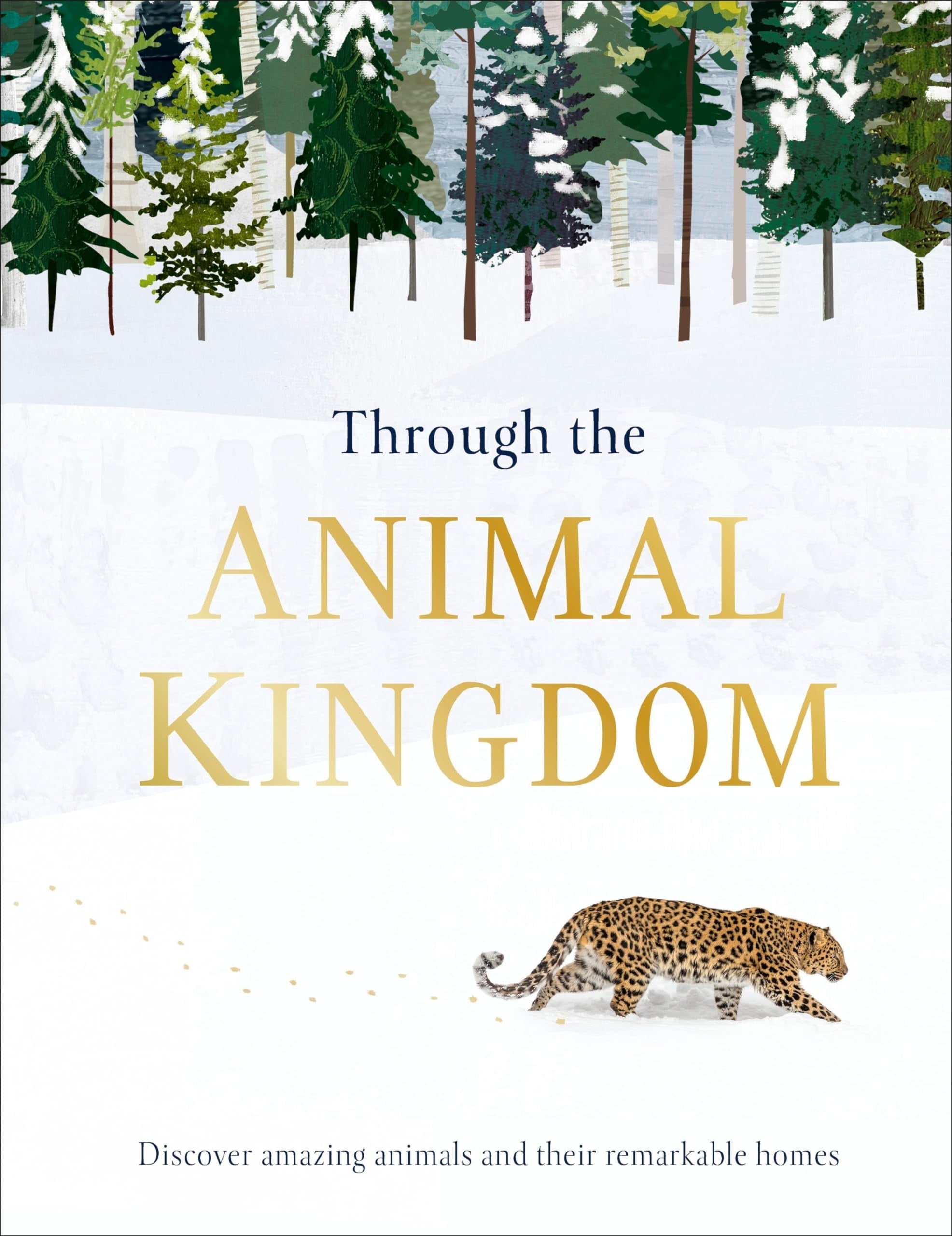 Through the Animal Kingdom Discover Amazing Animals and Their Remarkable Homes