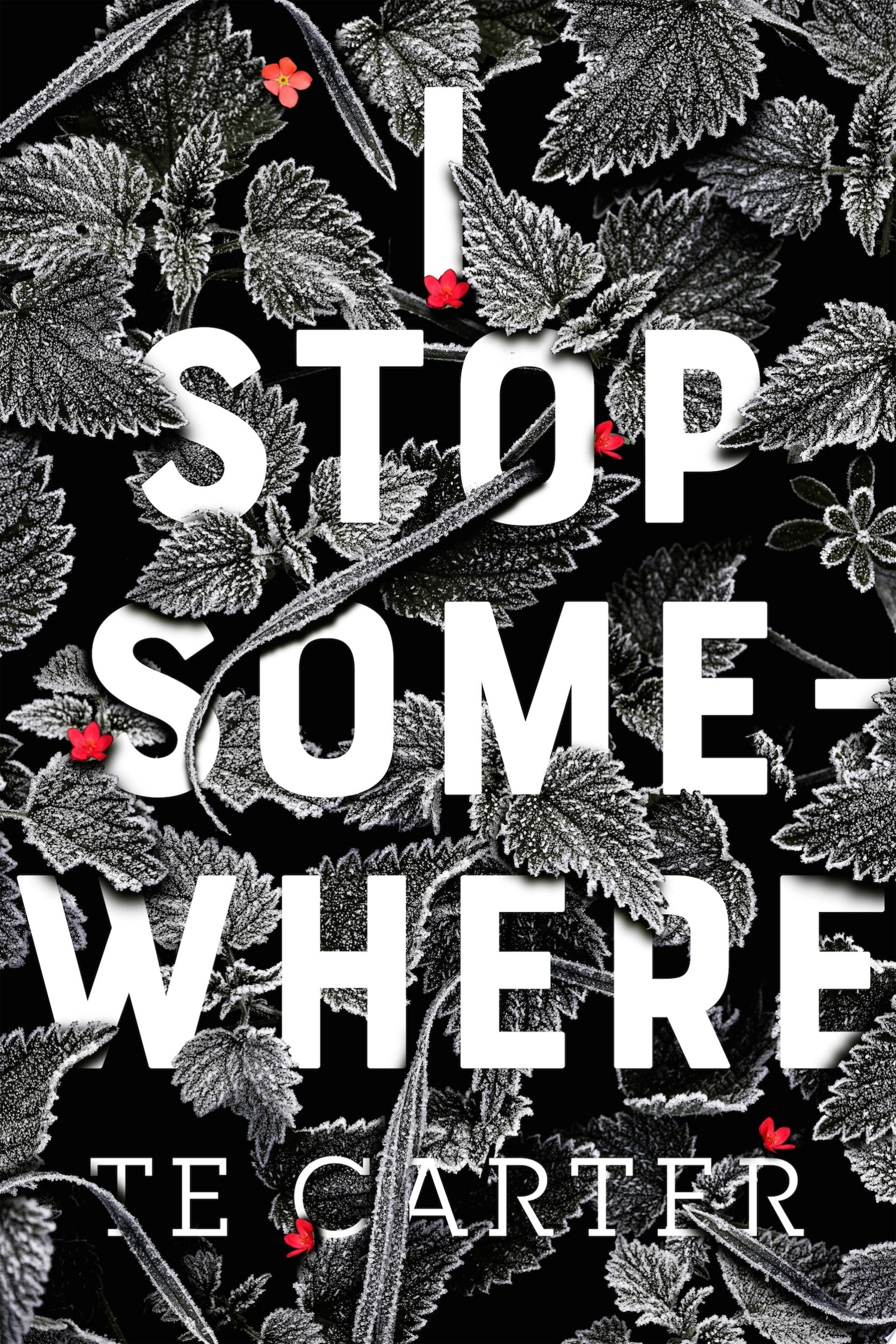I Stop Somewhere