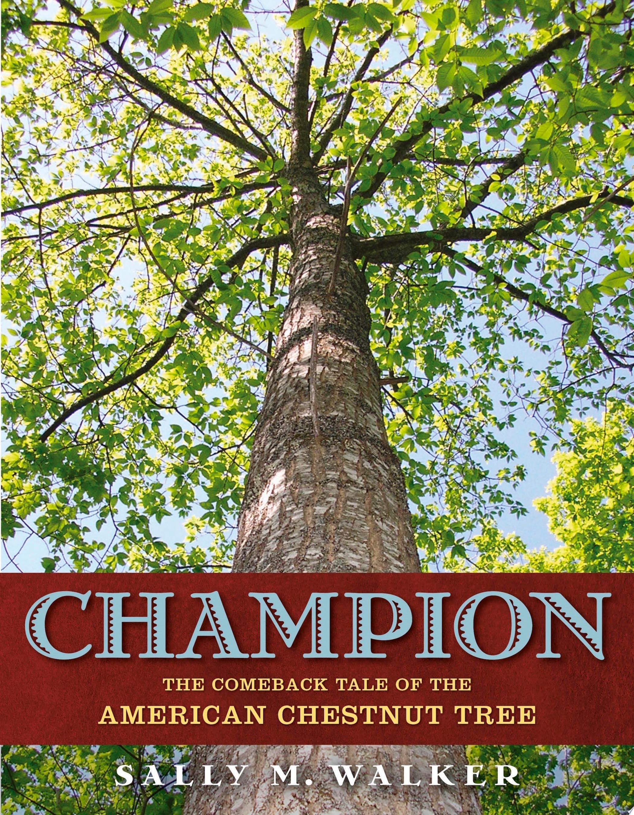 Champion The Comeback Tale of the American Chestnut Tree