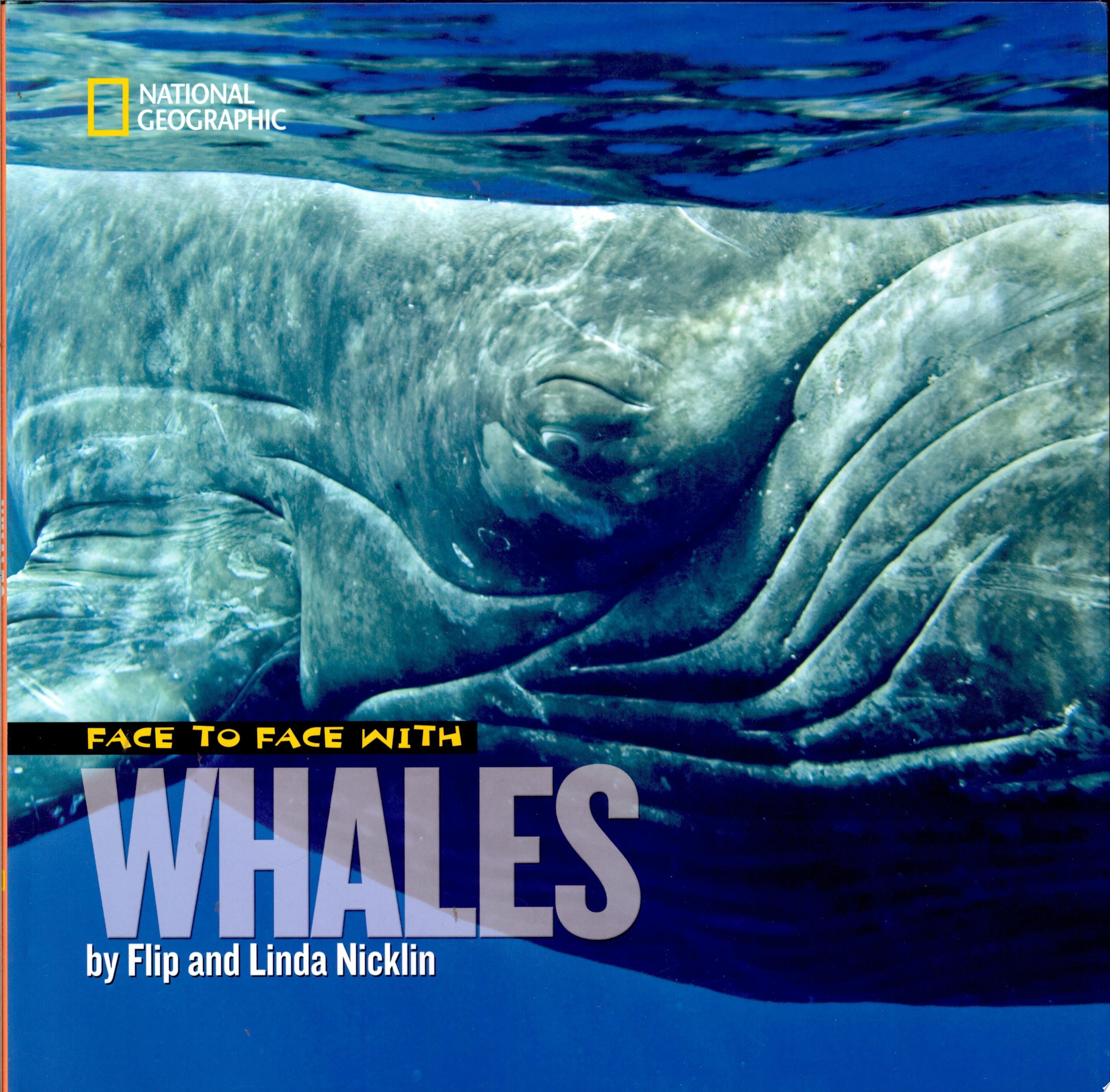 Face to Face With Whales