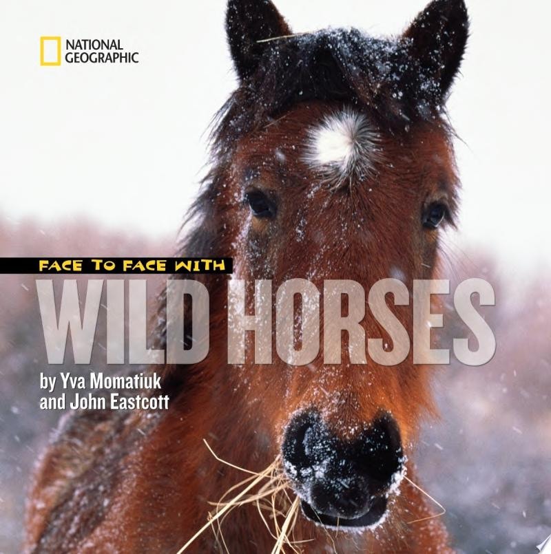 Face to Face with Wild Horses