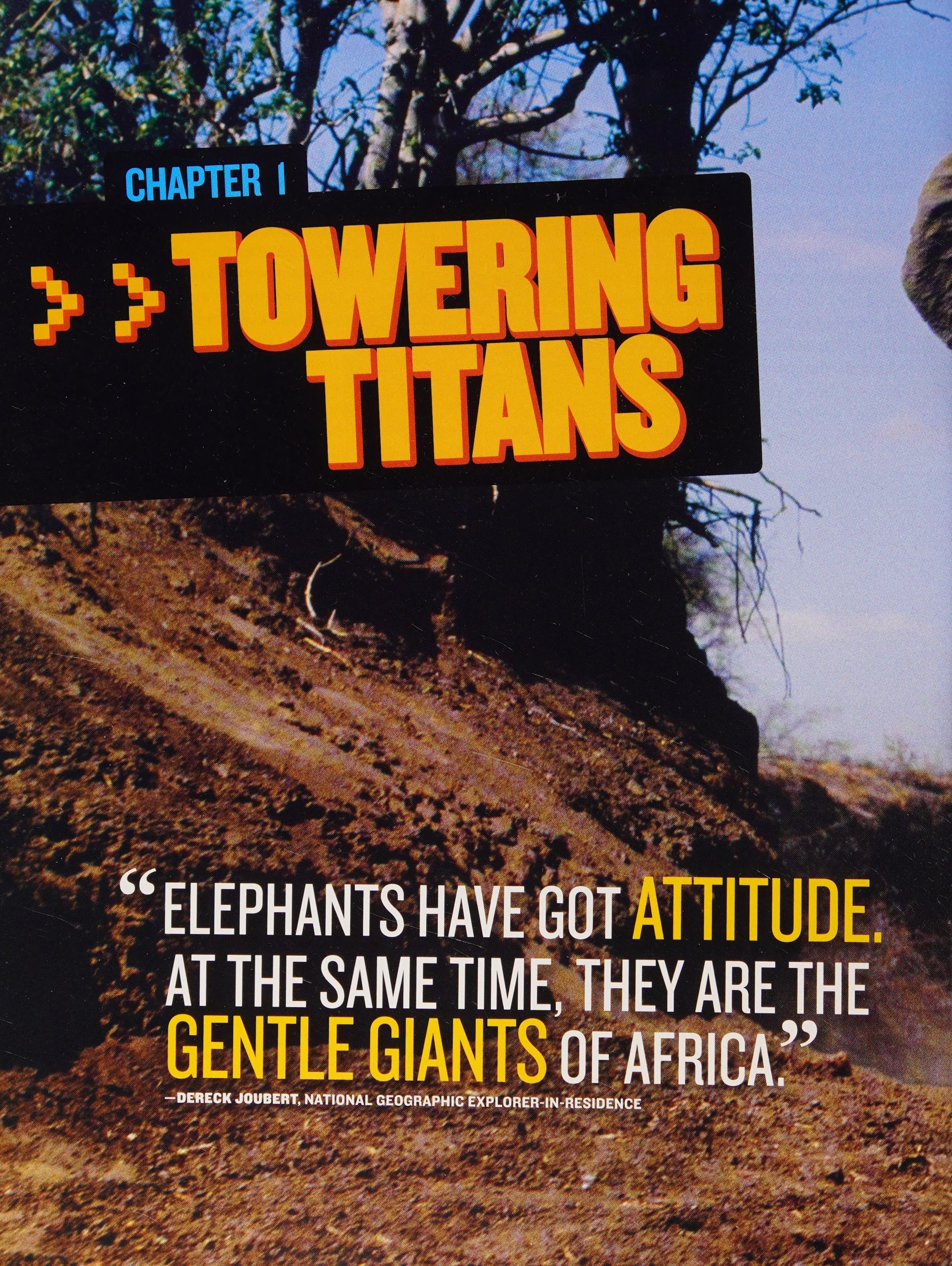 National Geographic Kids Mission: Elephant Rescue All about Elephants and How to Save Them