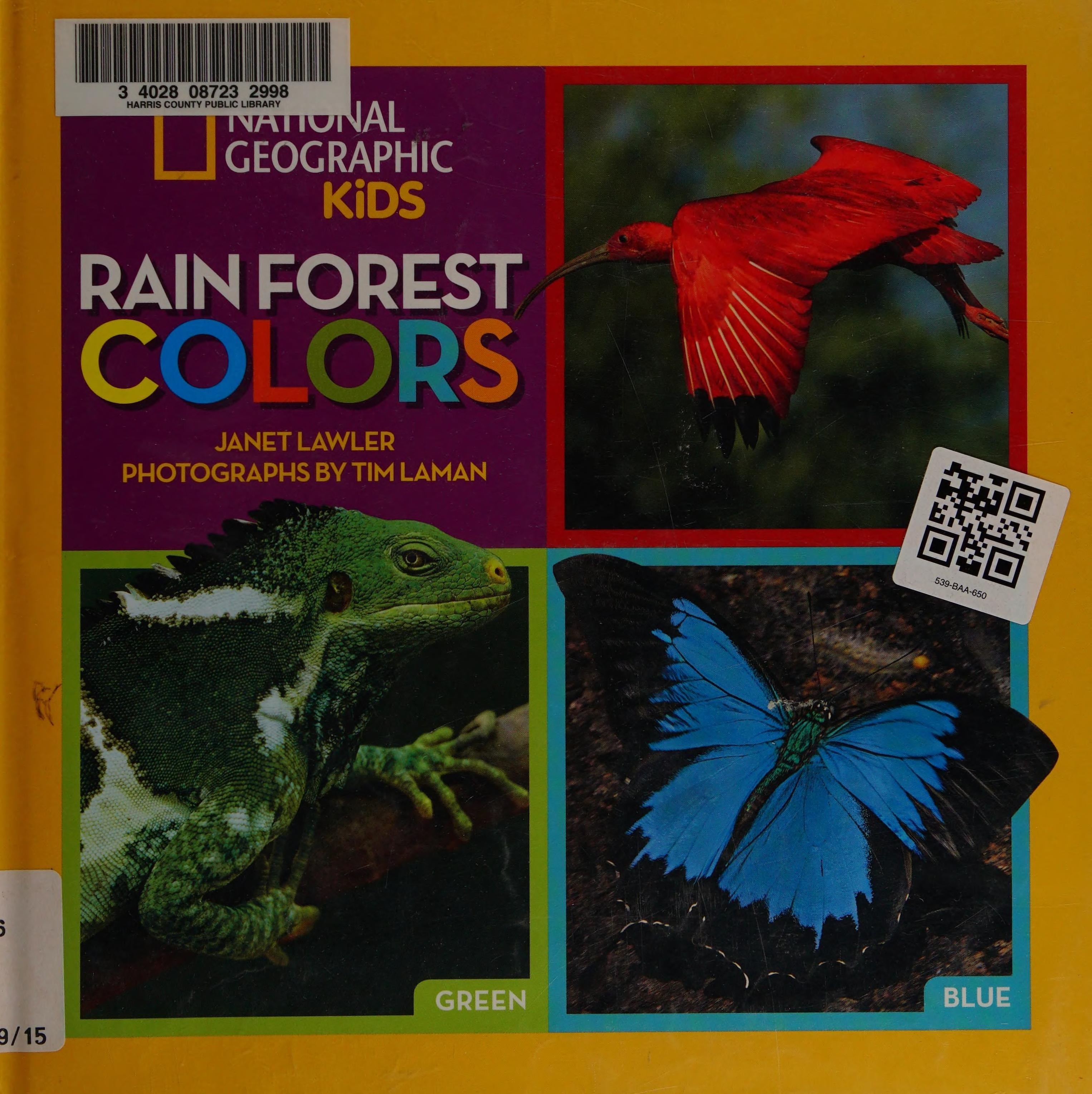 Rain Forest Colors