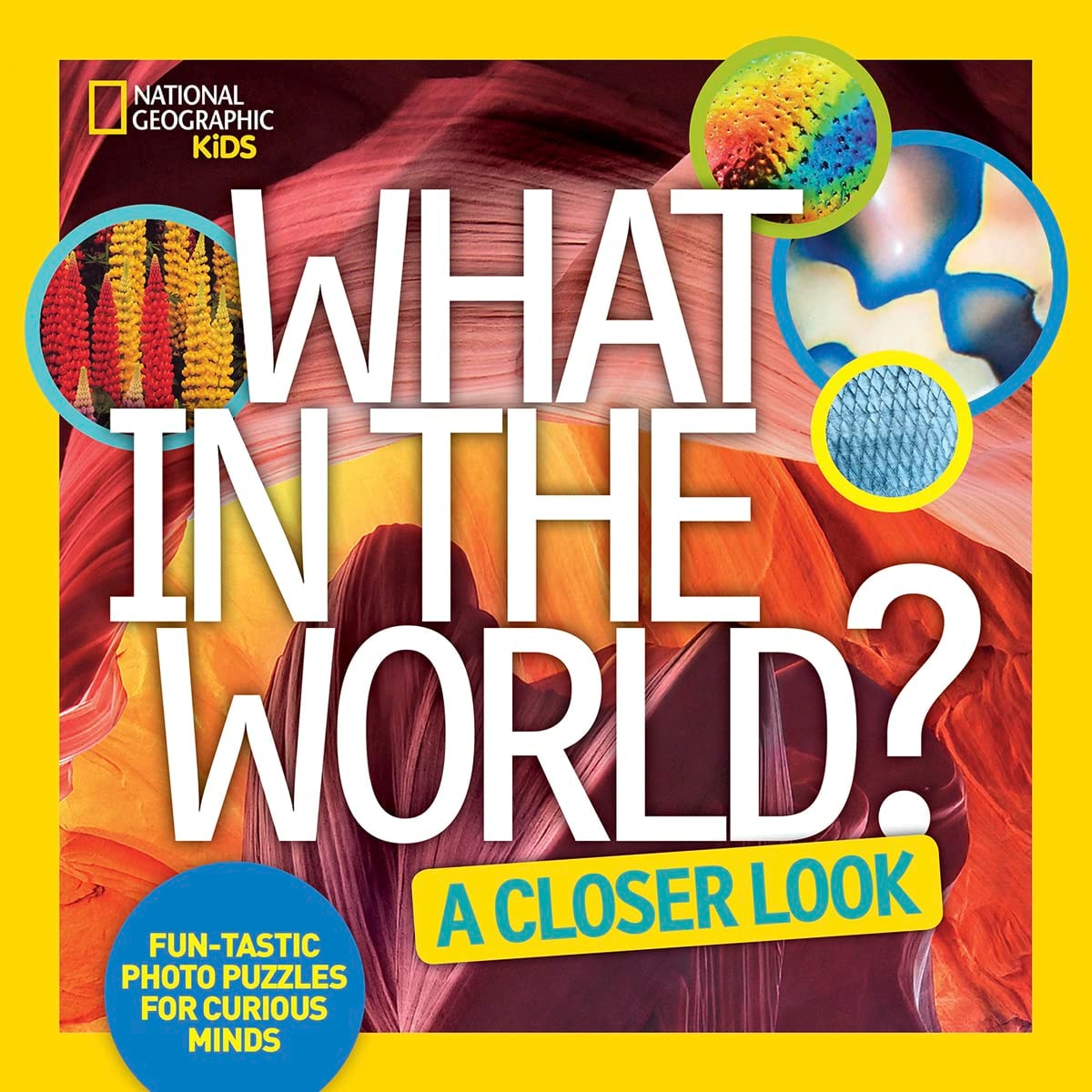 What in the World? a Closer Look Fun-Tastic Photo Puzzles for Curious Minds