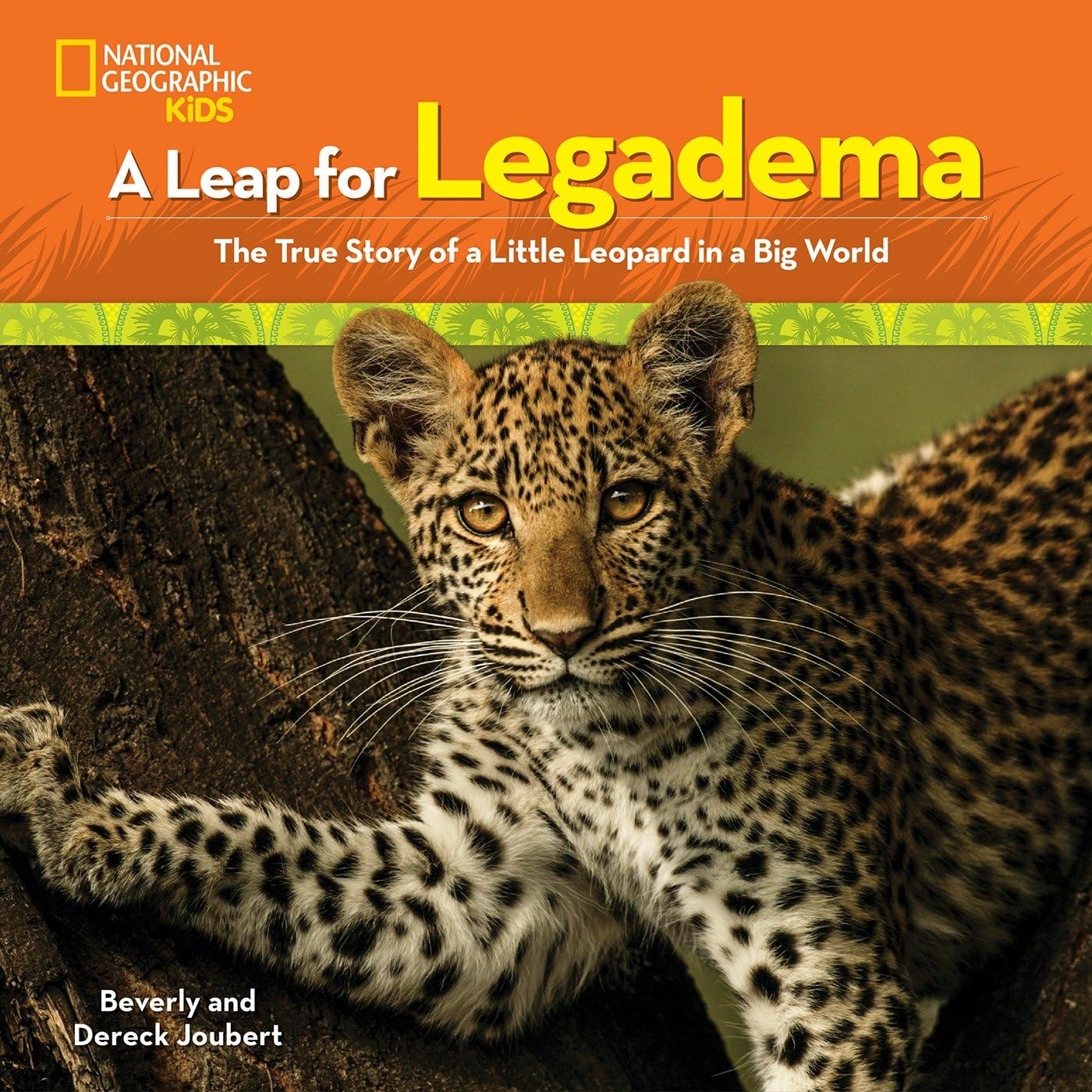 A Leap for Legadema The True Story of a Little Leopard in a Big World