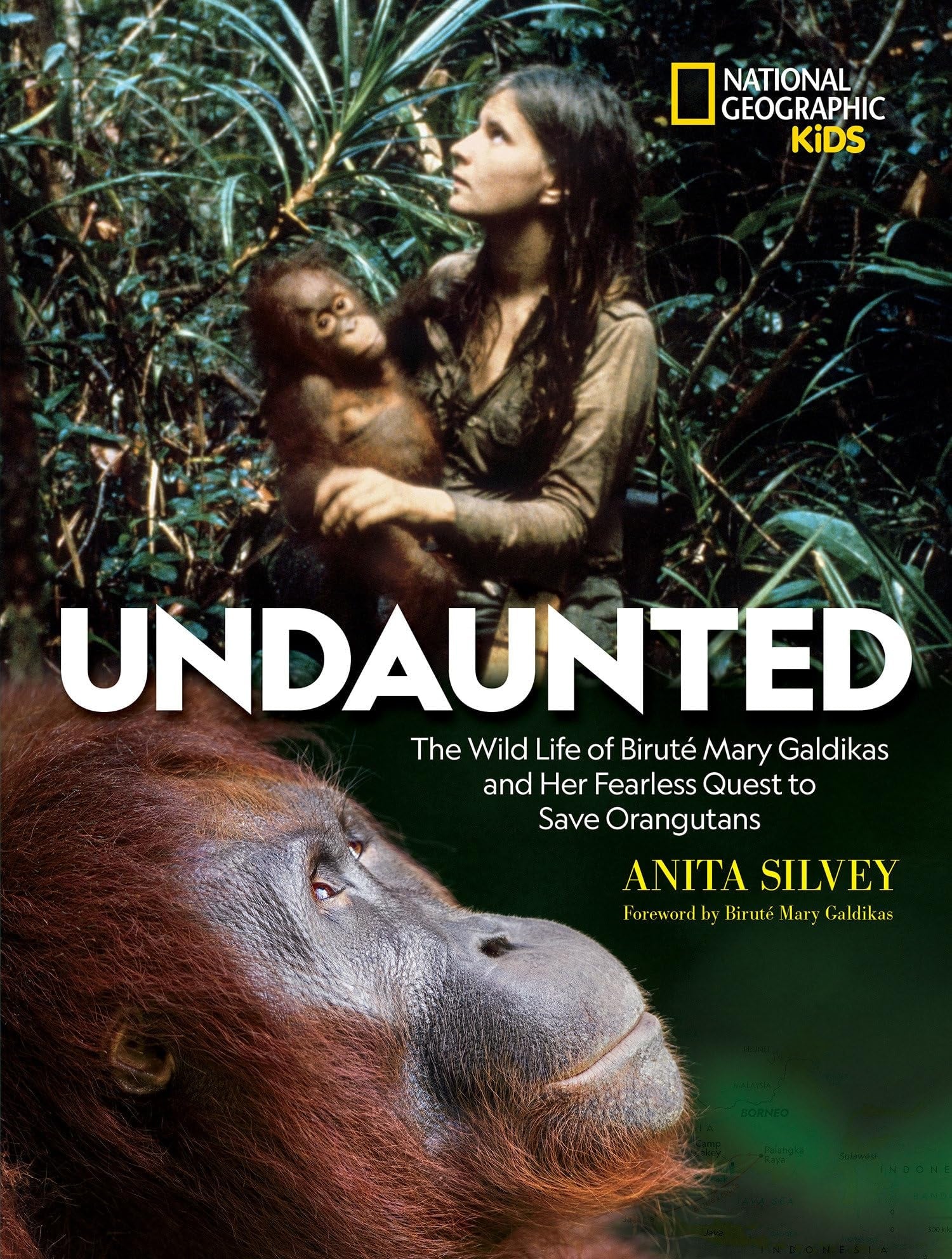 Undaunted The Wild Life of Biruté Mary Galdikas and Her Fearless Quest to Save Orangutans