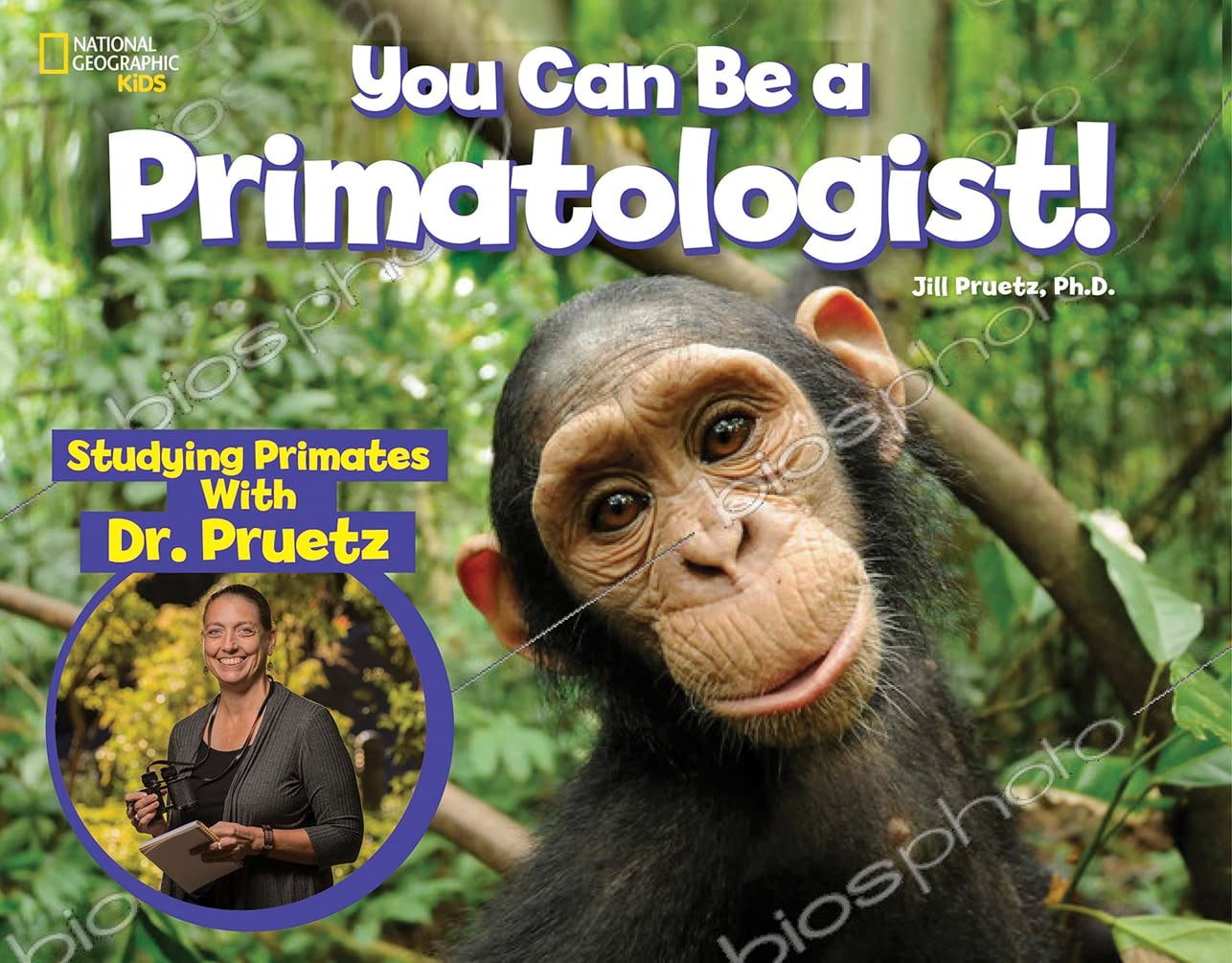 You Can Be a Primatologist Studying Primates with Dr. Pruetz