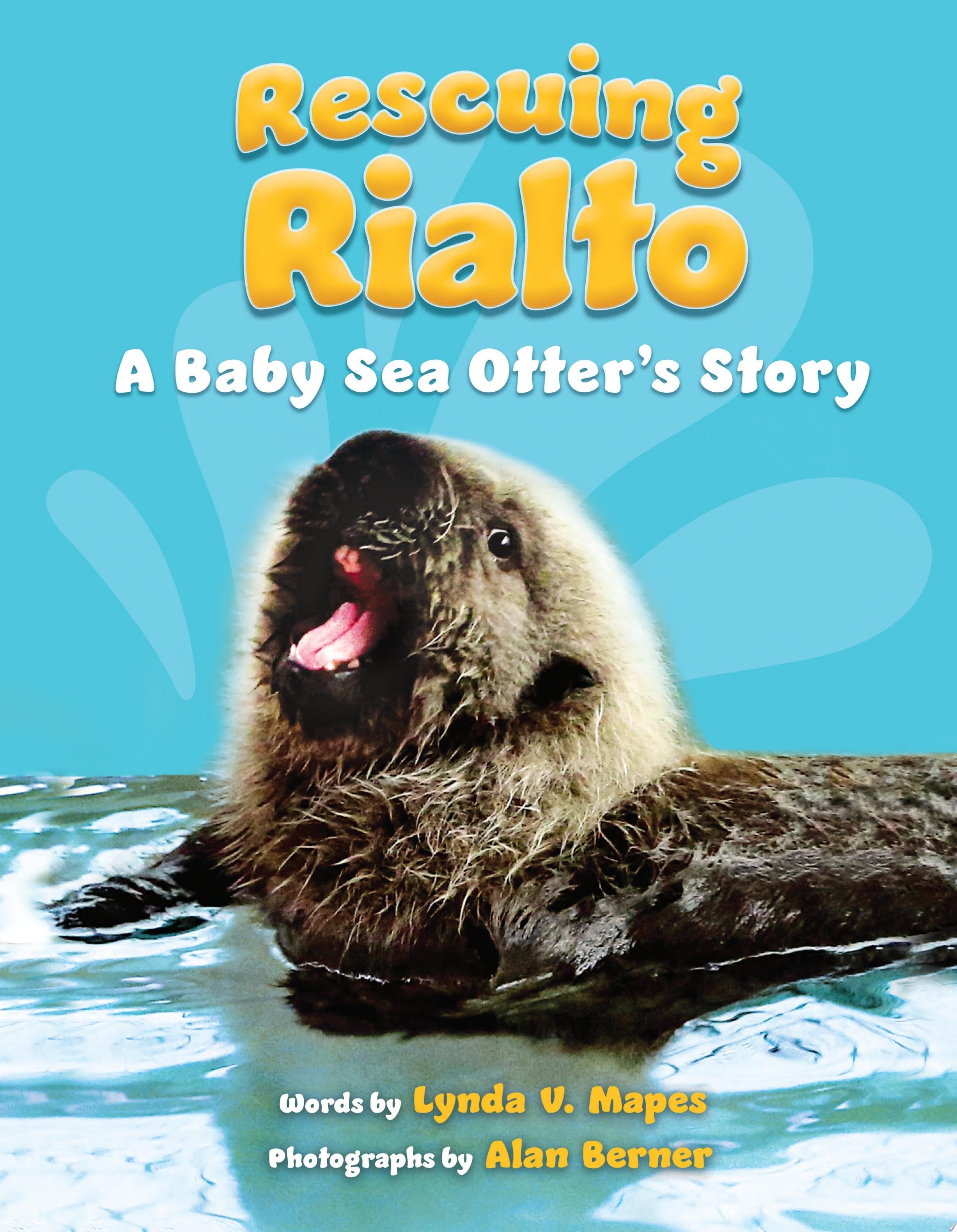 Rescuing Rialto: A Baby Sea Otter's Story