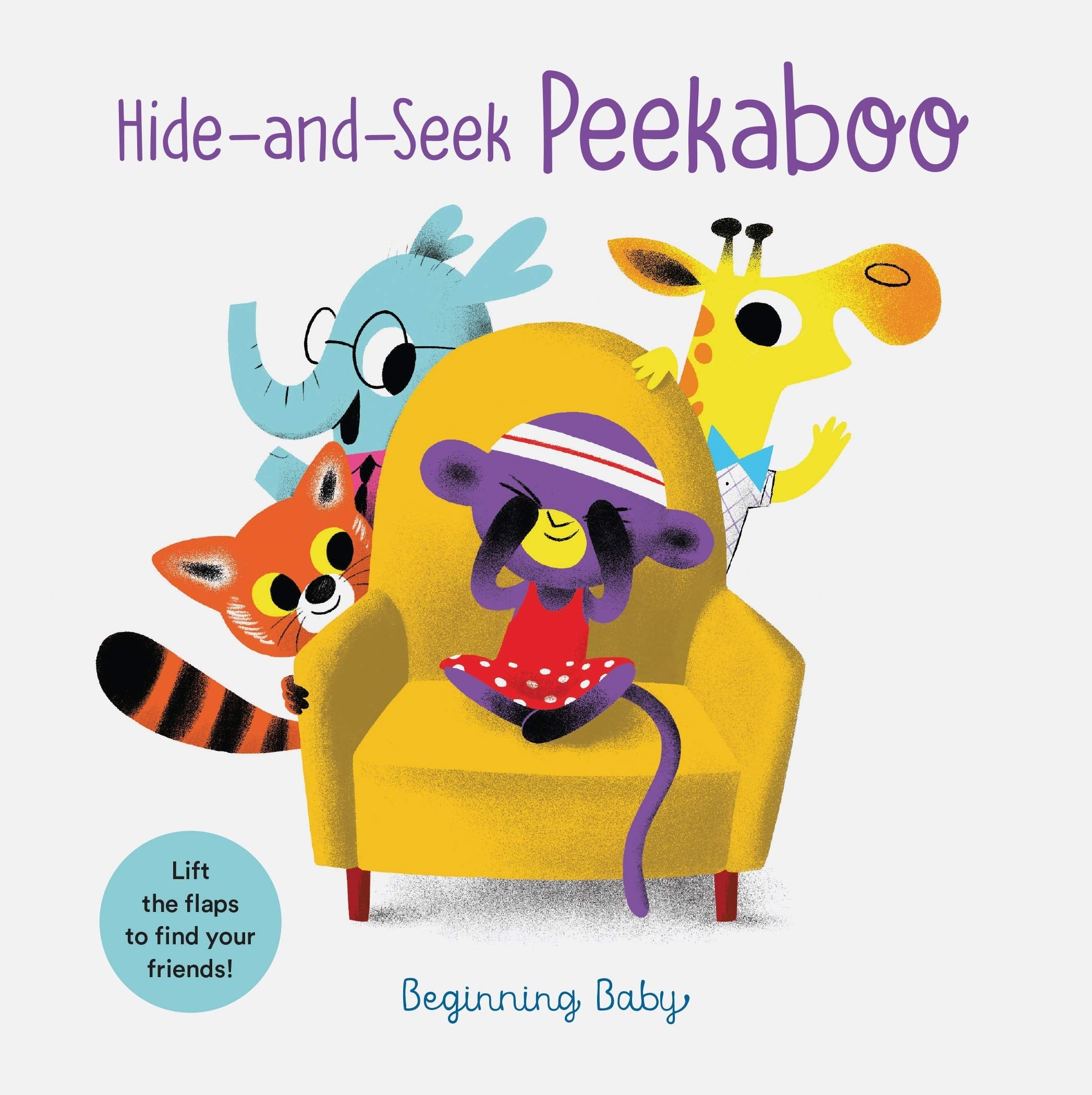 Hide-And-Seek Peekaboo Beginning Baby