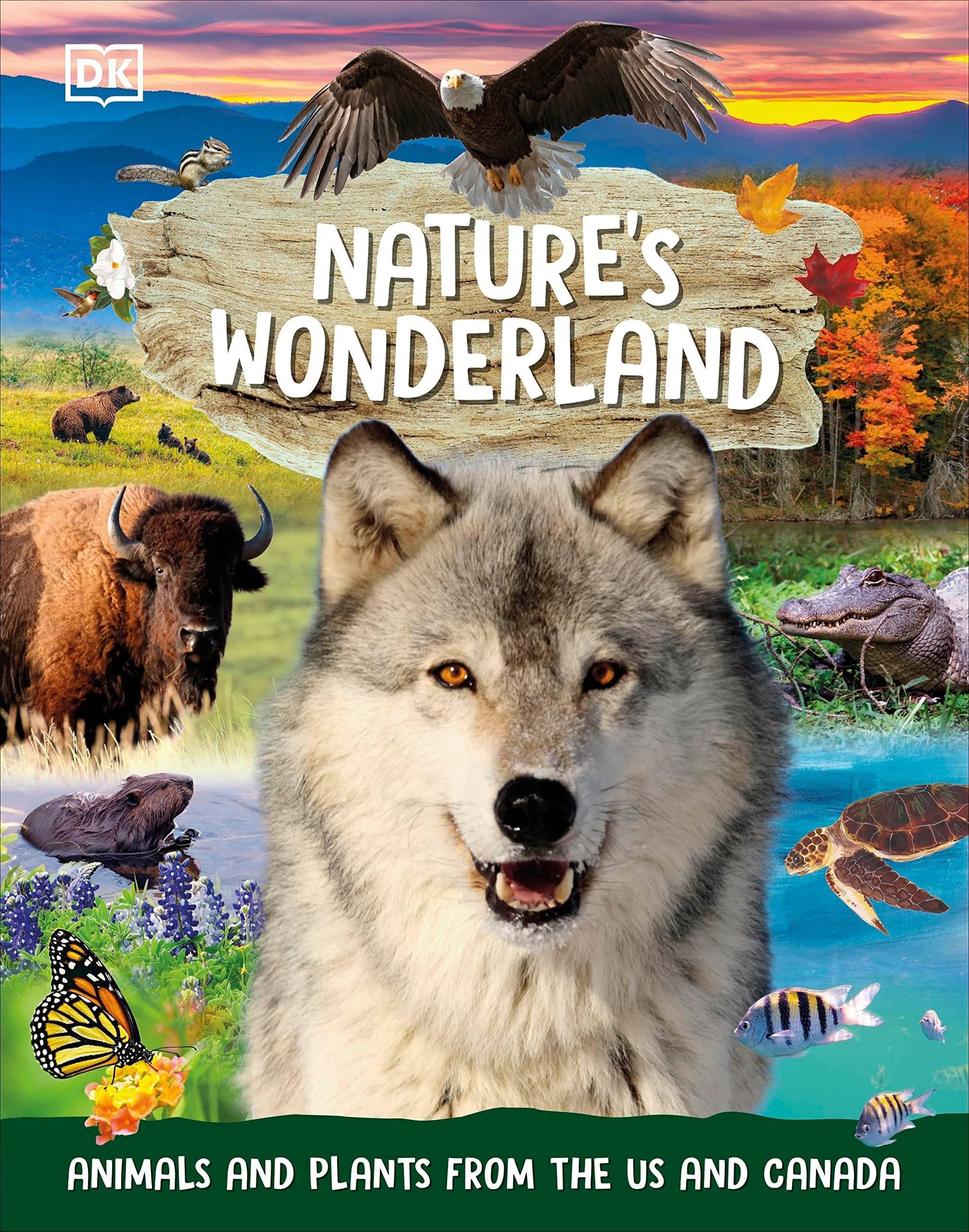 Nature's Wonderland Animals and Plants from the US and Canada