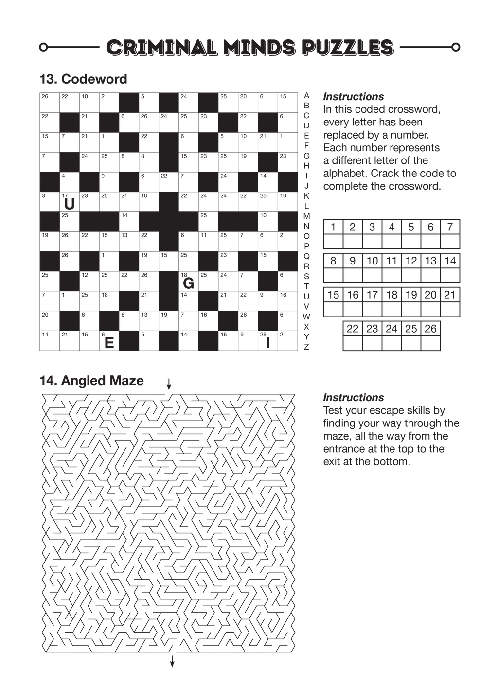 Criminal Minds Puzzle Book