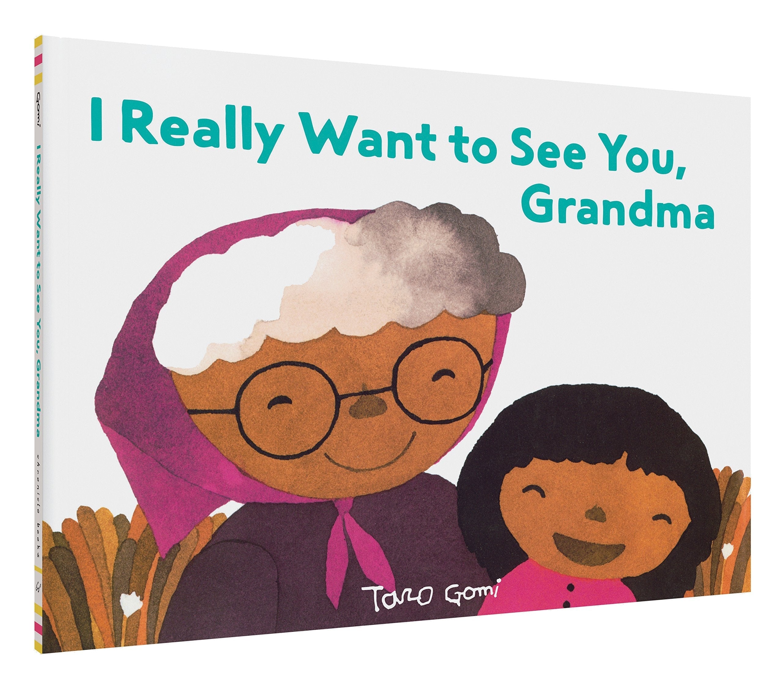 I Really Want to See You, Grandma (Books for Grandparents, Gifts for Grandkids, Taro Gomi Book)