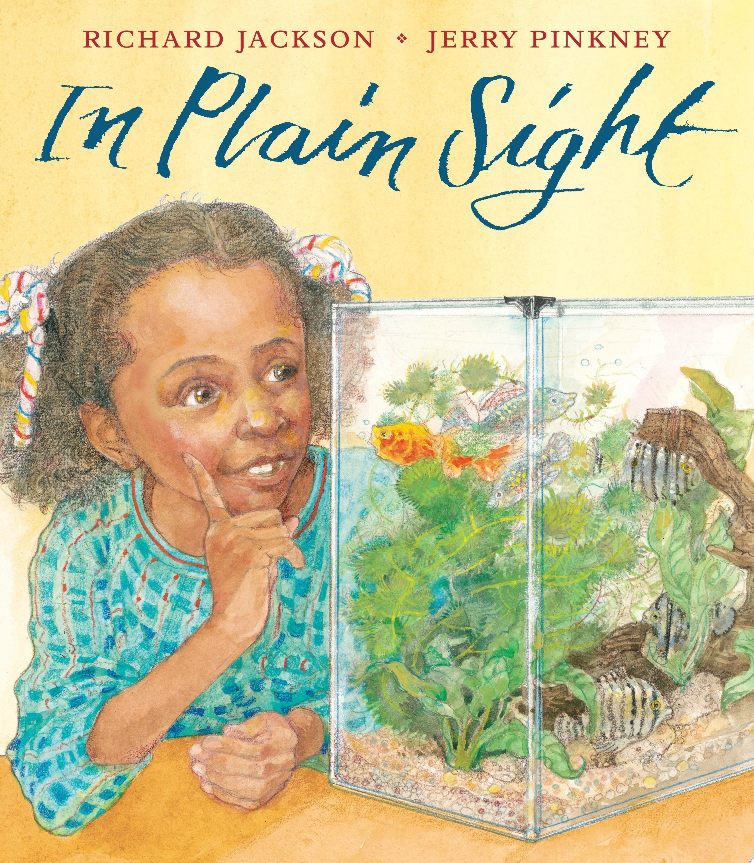 In Plain Sight A Game