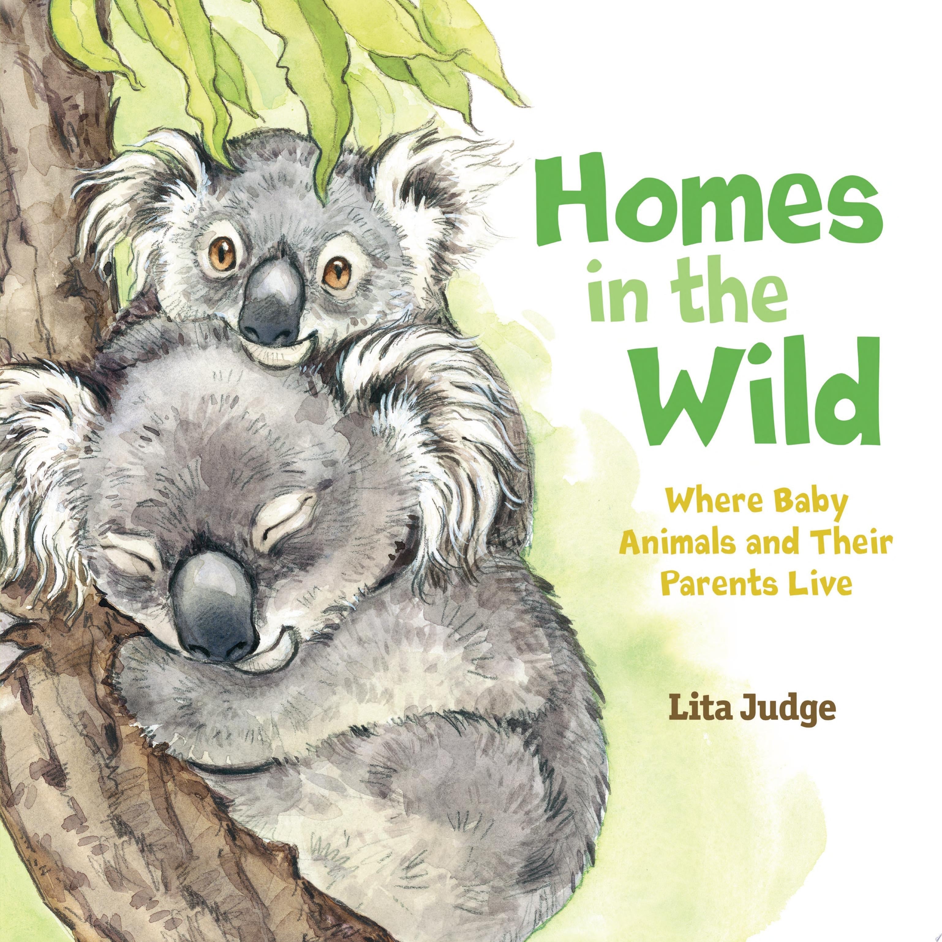 Homes in the Wild Where Baby Animals and Their Parents Live
