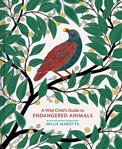 A Wild Child's Guide to Endangered Animals (Endangered Species Book, Wild Animal Guide, Books About Animals, Plant and Animal Books, Animal Art Books)