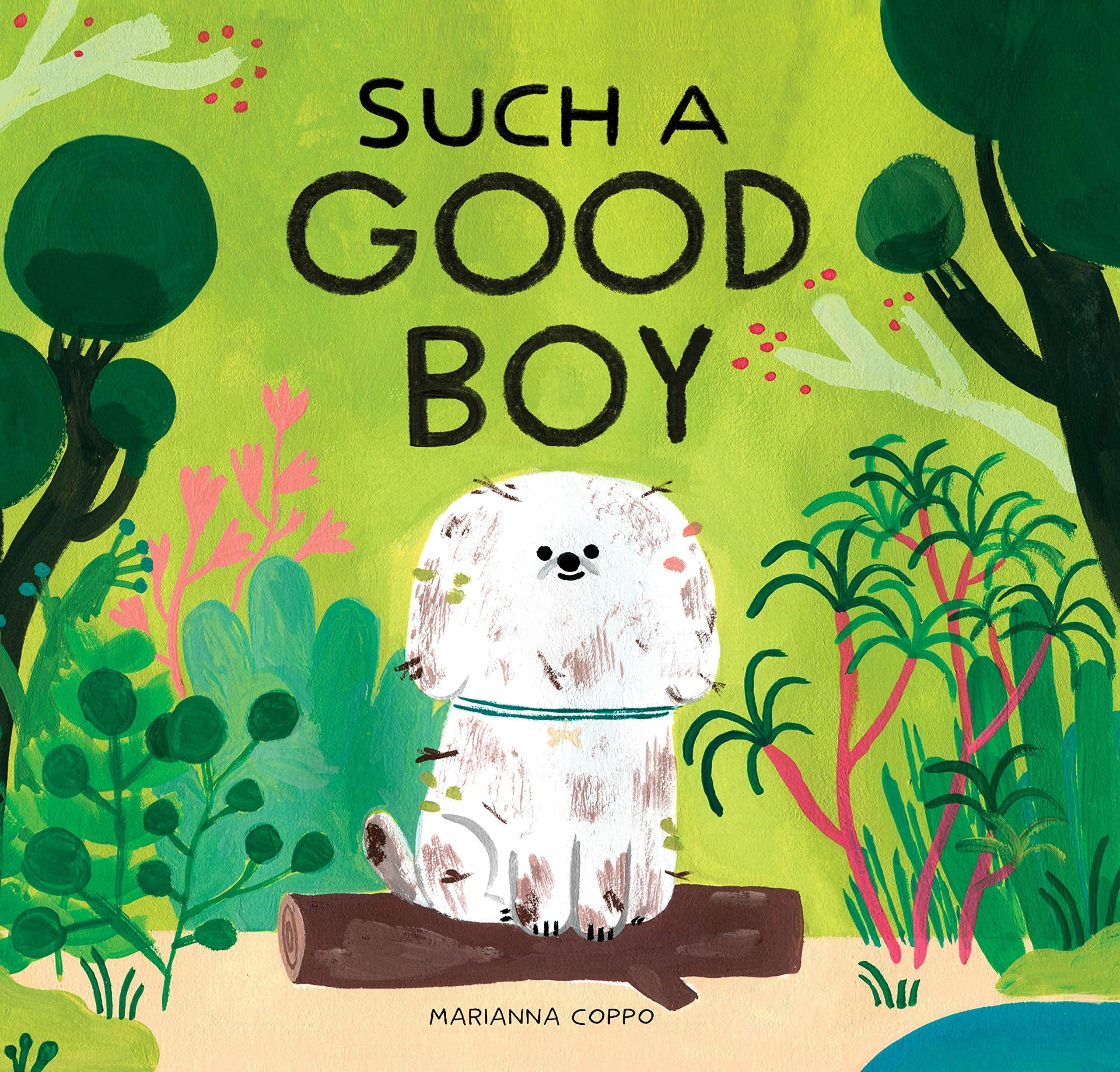 Such a Good Boy (dog books for kids, pets for children)