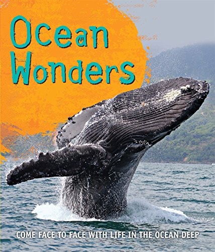 Fast Facts: Ocean Wonders Come face to face with life in the ocean deep
