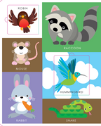Lift the Flap: First Animals