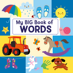 My Big Book of Words (Picture Book)