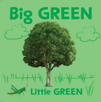 First Colors Book (Board Book)