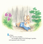 The Tale of Peter Rabbit (Board Book)