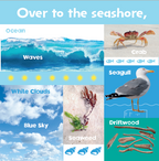 Look and Learn: Nature (Board Book)