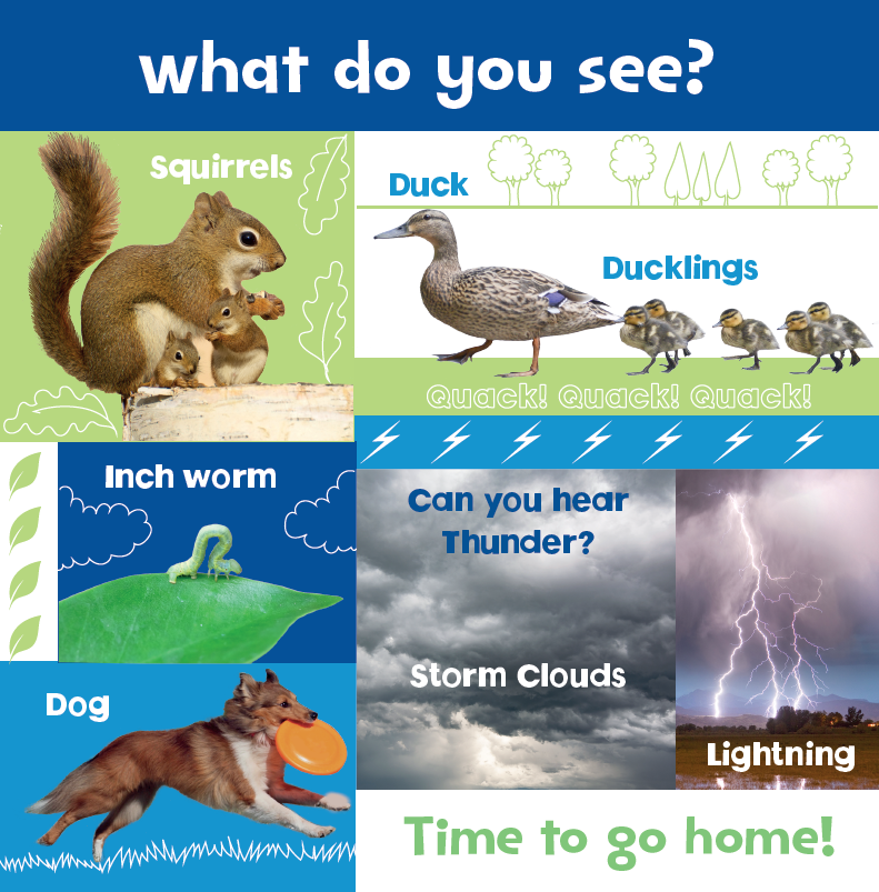 Look and Learn: Nature (Board Book)