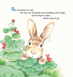 Tale of Peter Rabbit (Picture Book)