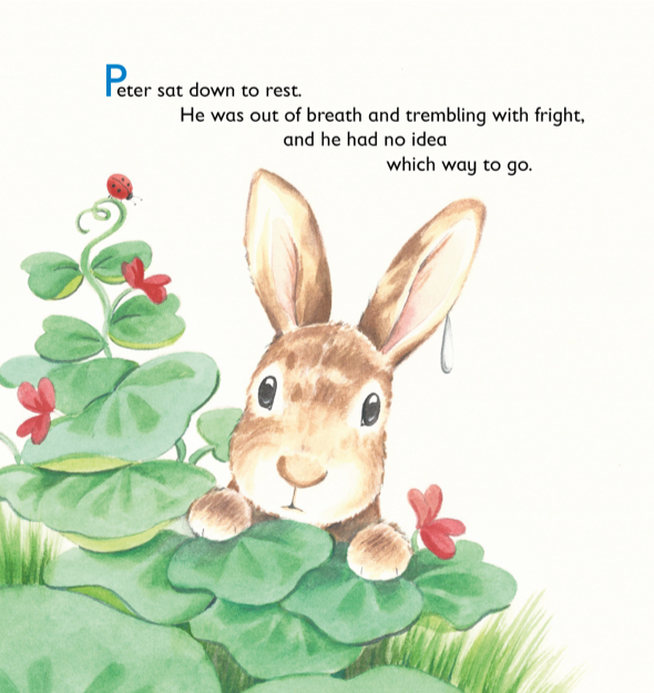 Tale of Peter Rabbit (Picture Book)