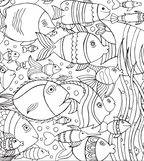 Patterns in Nature Coloring Book