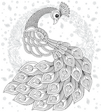 Patterns in Nature Coloring Book
