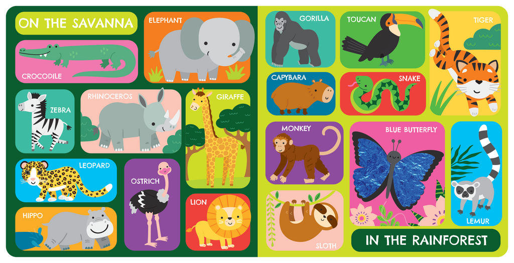 Touch and Feel: First Animals