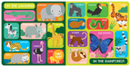 Touch and Feel: First Animals