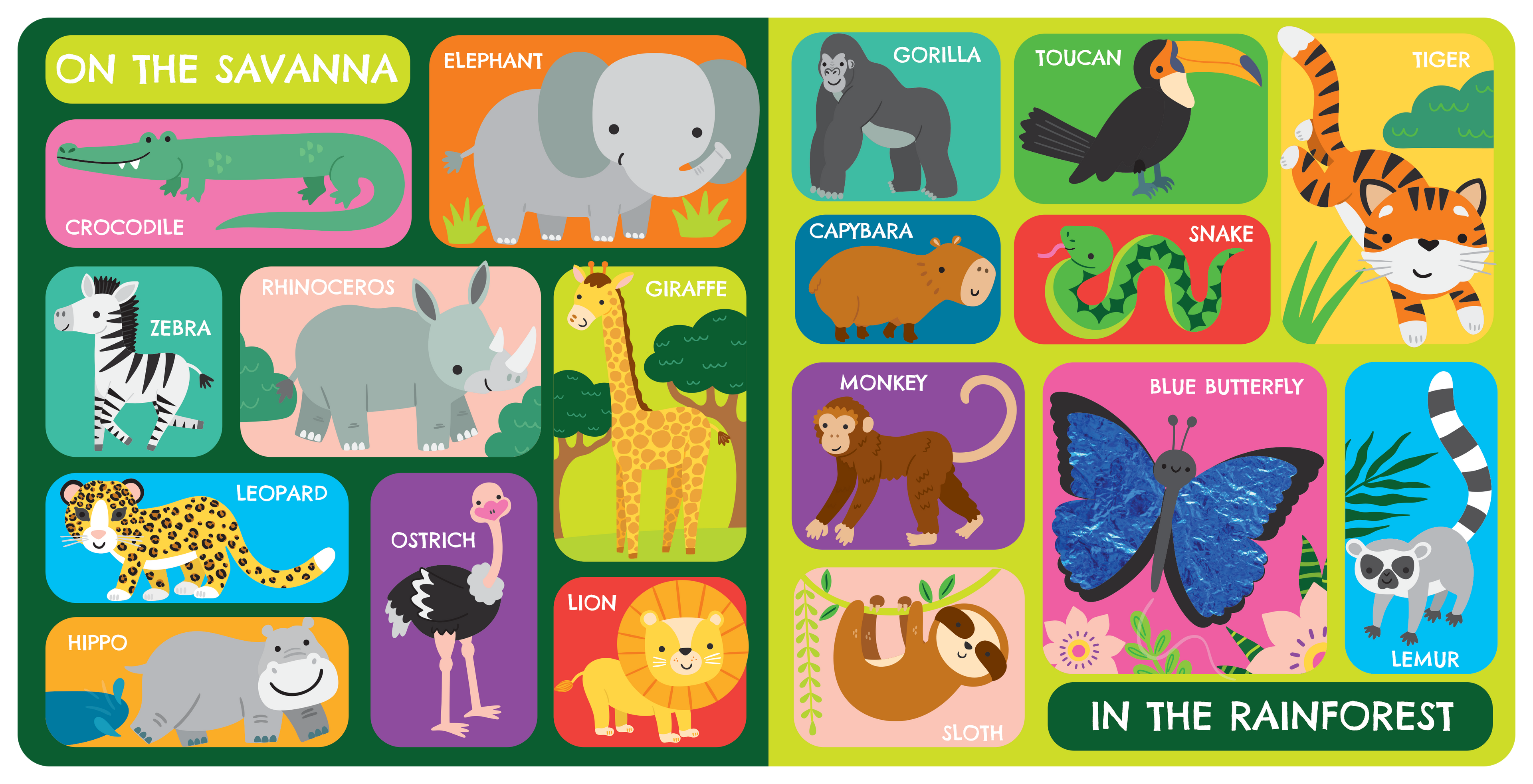 Touch and Feel: First Animals