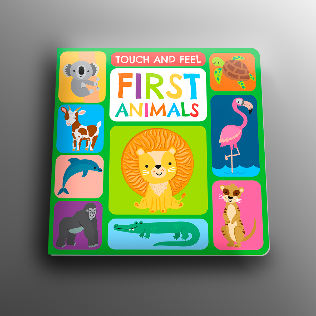 Touch and Feel: First Animals