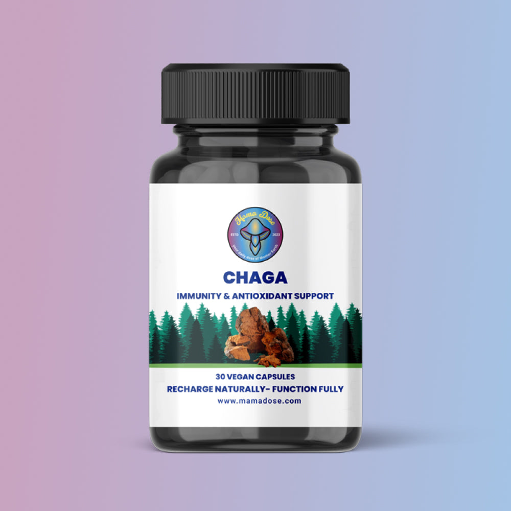 Renewed Organic Chaga Mushroom Supplement for Immune Health & Vitality