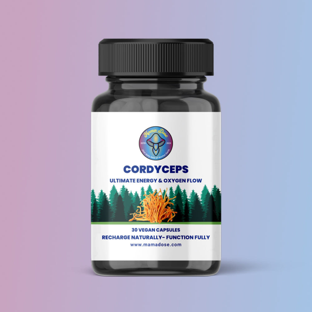 Renewed Organic Cordyceps Mushroom Capsules for Stamina, Focus & Wellness